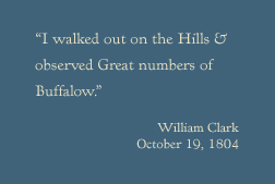 I walked out on the Hills & observed Great numbers of Buffalow.  William Clark, October 19, 1804